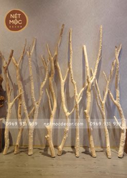 cành cây khô decor