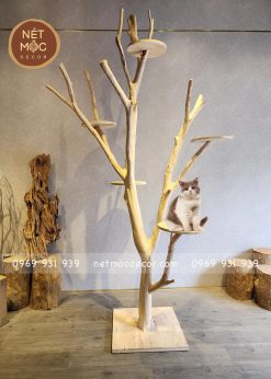 Nhà cây cho mèo - Tree cat