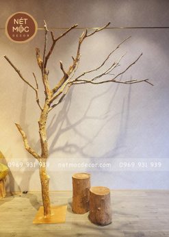 Cây khô trang trí dáng huyền ấn tượng nhất trong năm