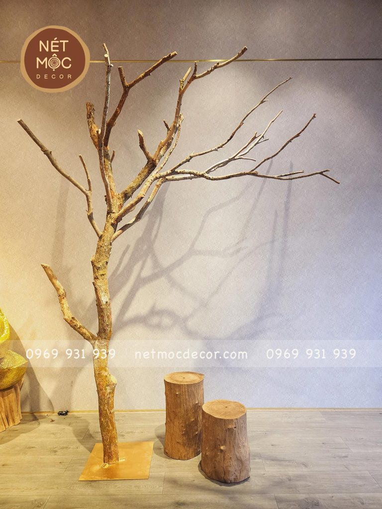 cây khô trang trí dáng huyền