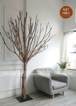 cây khô decor phòng khách
