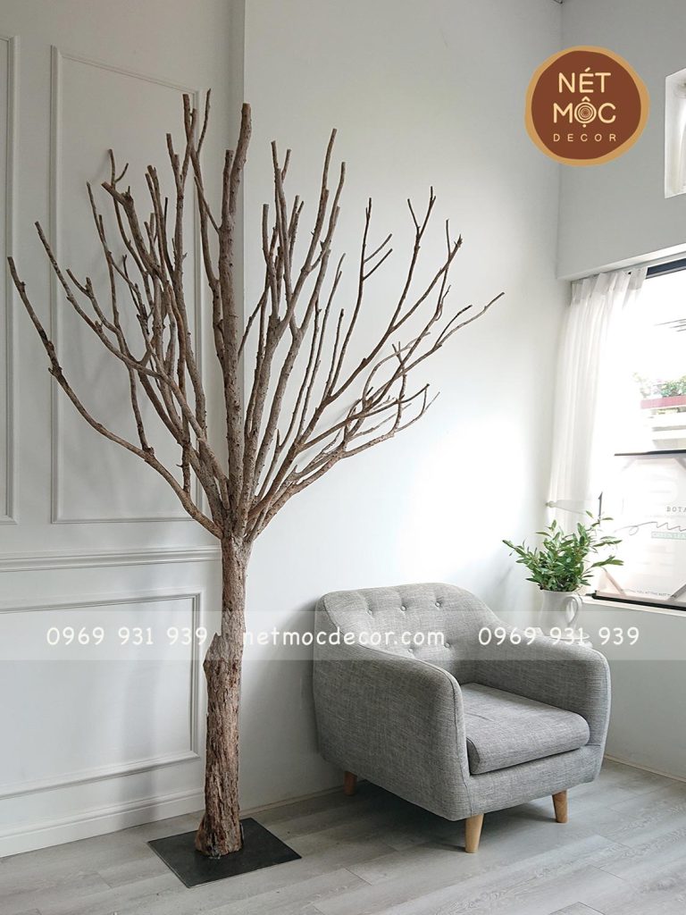 cây khô decor phòng khách