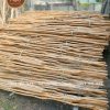 Cây gỗ khô bóc vỏ trang trí tường, trần, mái che