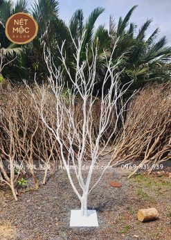 cây khô sơn trắng trang trí nội thất
