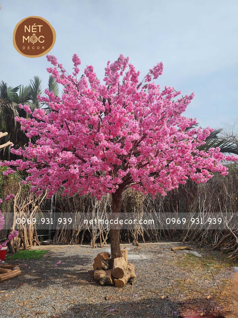 cây khô gắn mai đào trang trí Tết