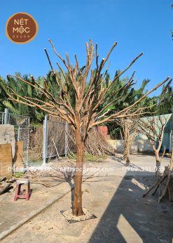 gốc cây khô được trang trí sáng tạo
