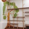 Kệ cây khô đẹp, độc lạ